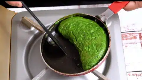 flip it and cook on both sides
