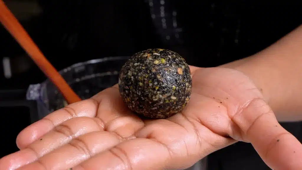 Black Sesame Bites Recipe – Crispy, Nutty, and Sweet make small bite size