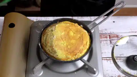 flip it and cook both sides