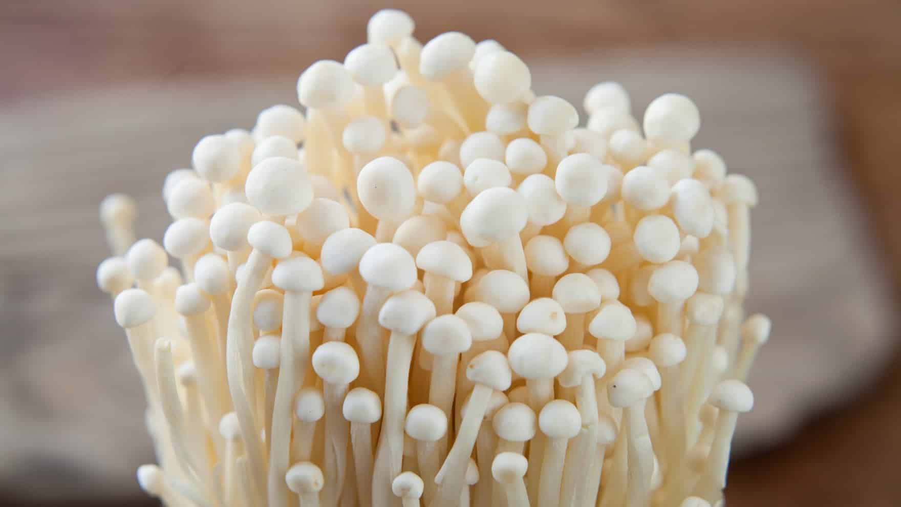enoki mushroom