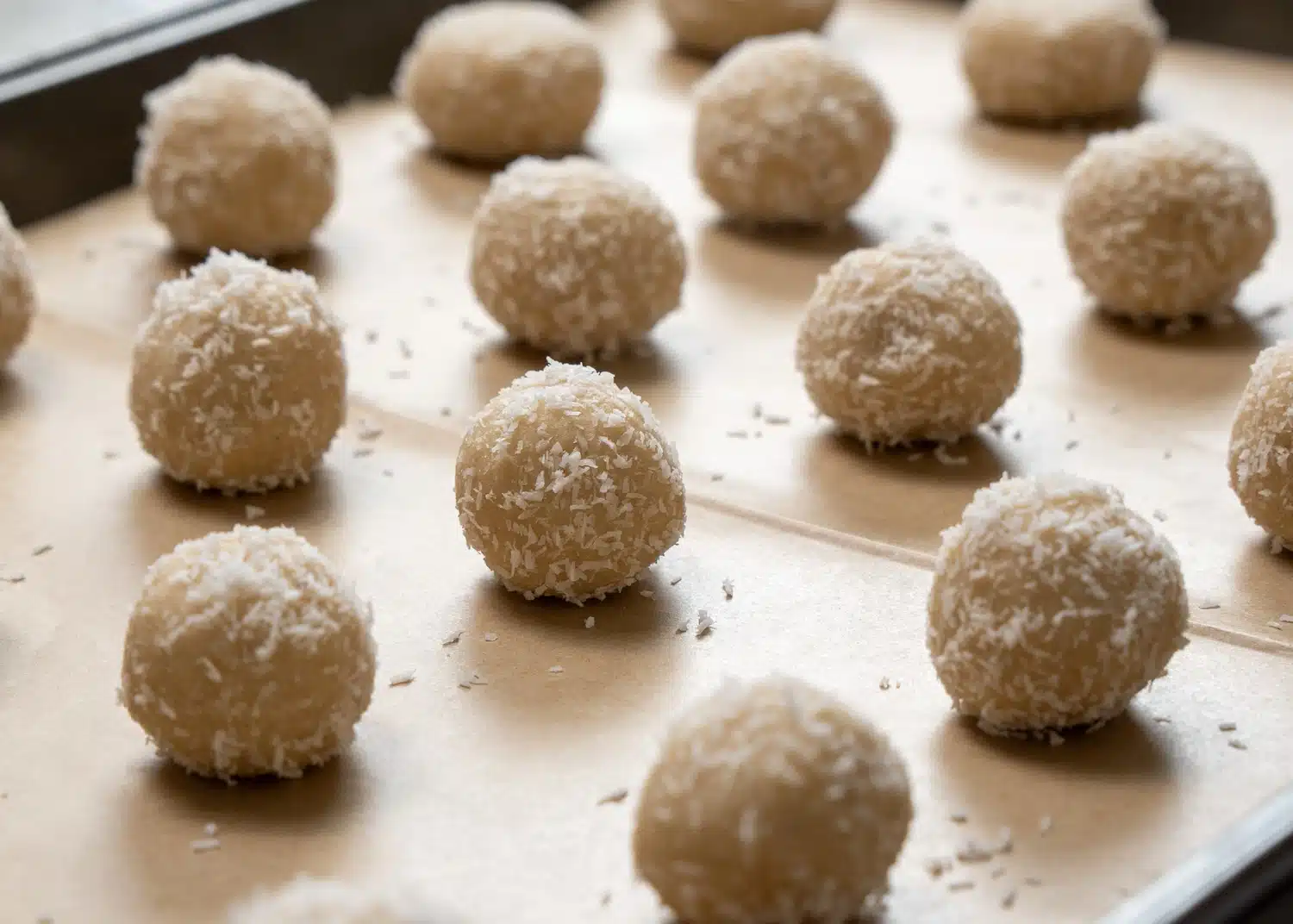 desiccated coconut biscuits
